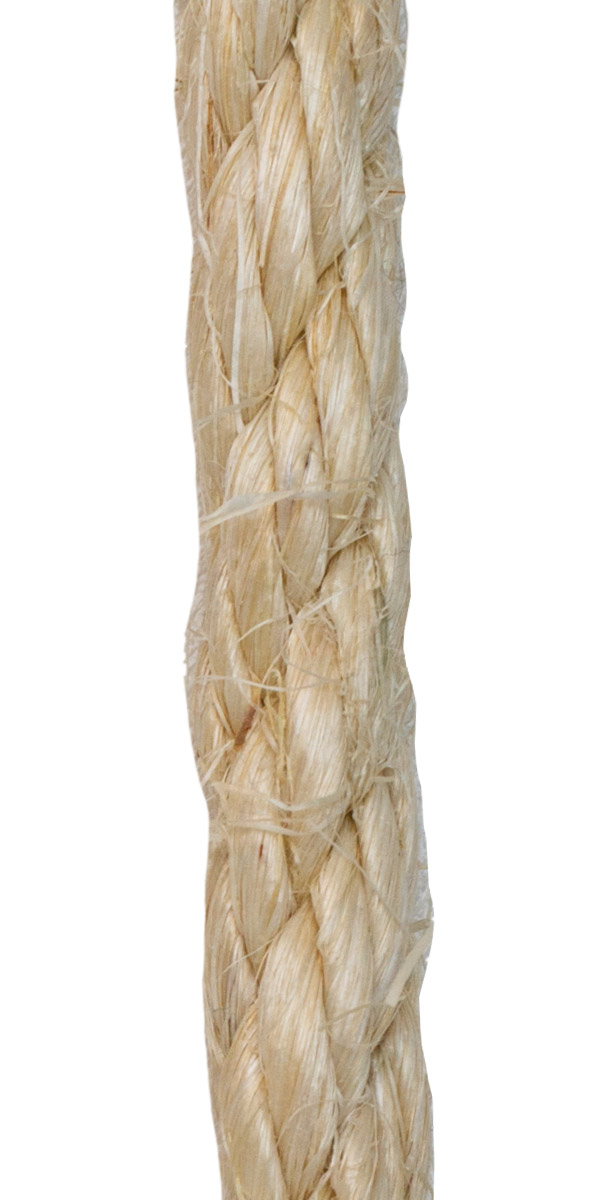 Sisal