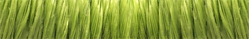 light-green.jpg